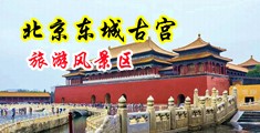 大咪咪操逼网中国北京-东城古宫旅游风景区